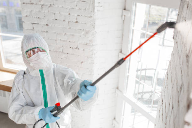 Best Mold Remediation for Rental Properties  in USA